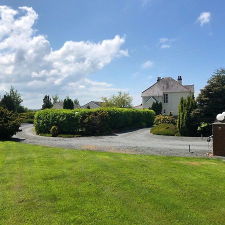 The Annexe - Spacious 2 Bedroom Detached Cottage カーディガン エクステリア 写真